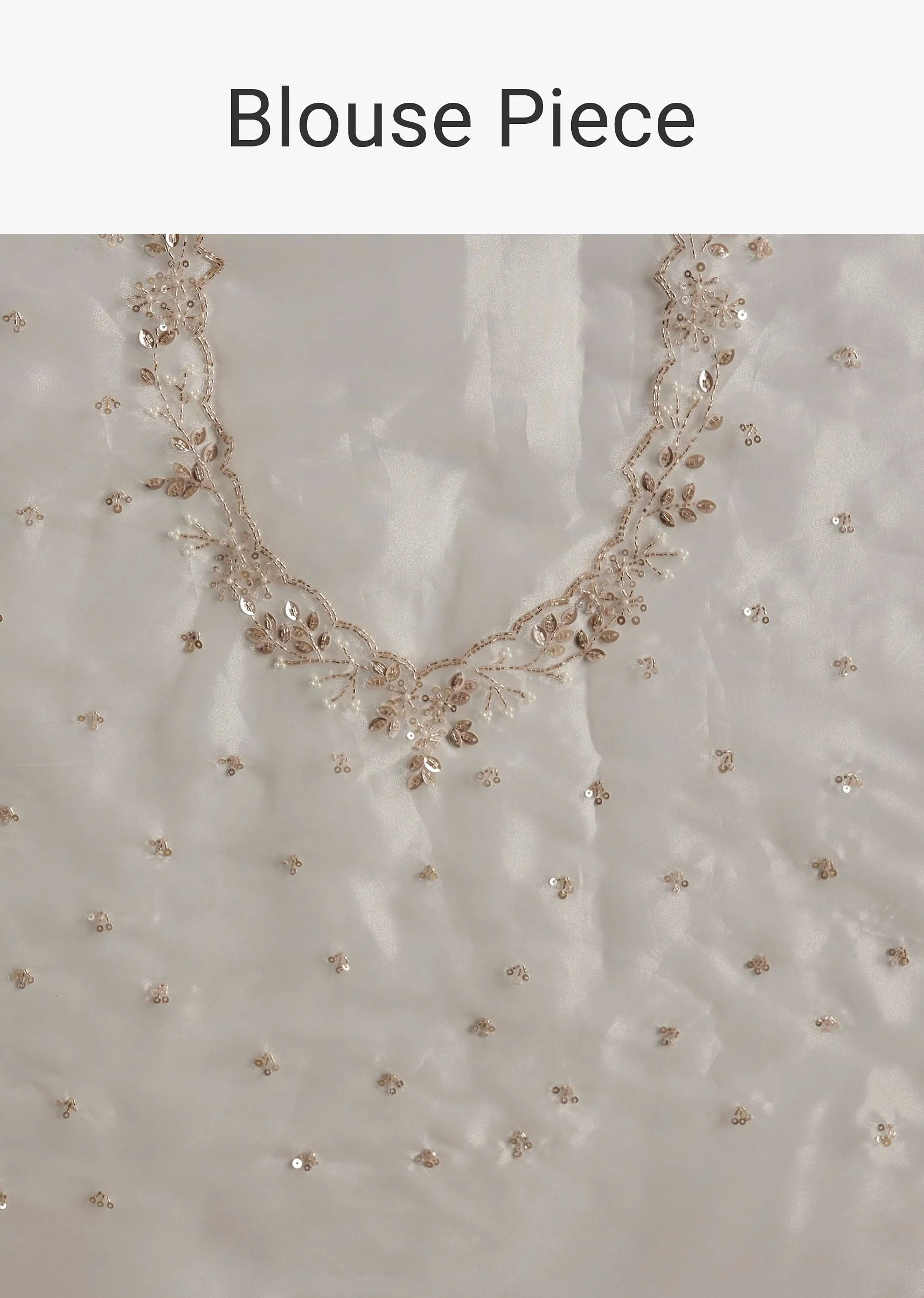 White Tissue Embroidered Saree With Scallop Border - Image 10